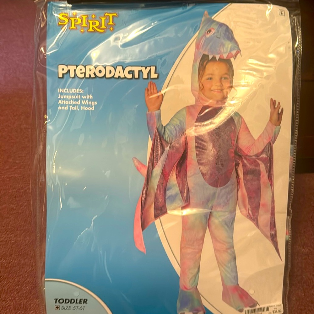 Halloween costume, wore only 1 time